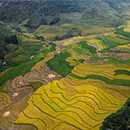 Hình đại diện của người dùng