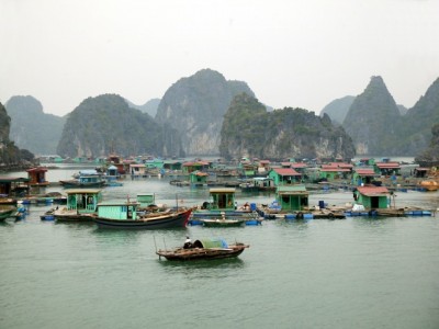CatBaFishFarms.jpg