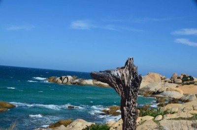Cảnh biển chụp từ trên cao.jpg