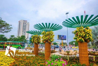 con-duong-hoa-da-nang(4).jpg