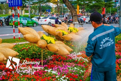 con-duong-hoa-da-nang(2).jpg