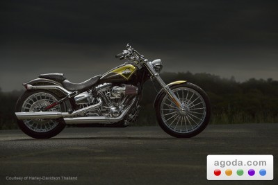 Harley[1].jpg