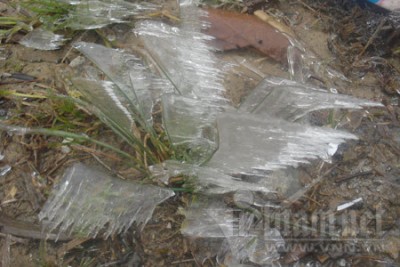 images1503535_5[1].jpg